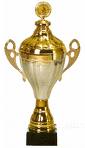 Pokal