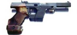 Walther GSP